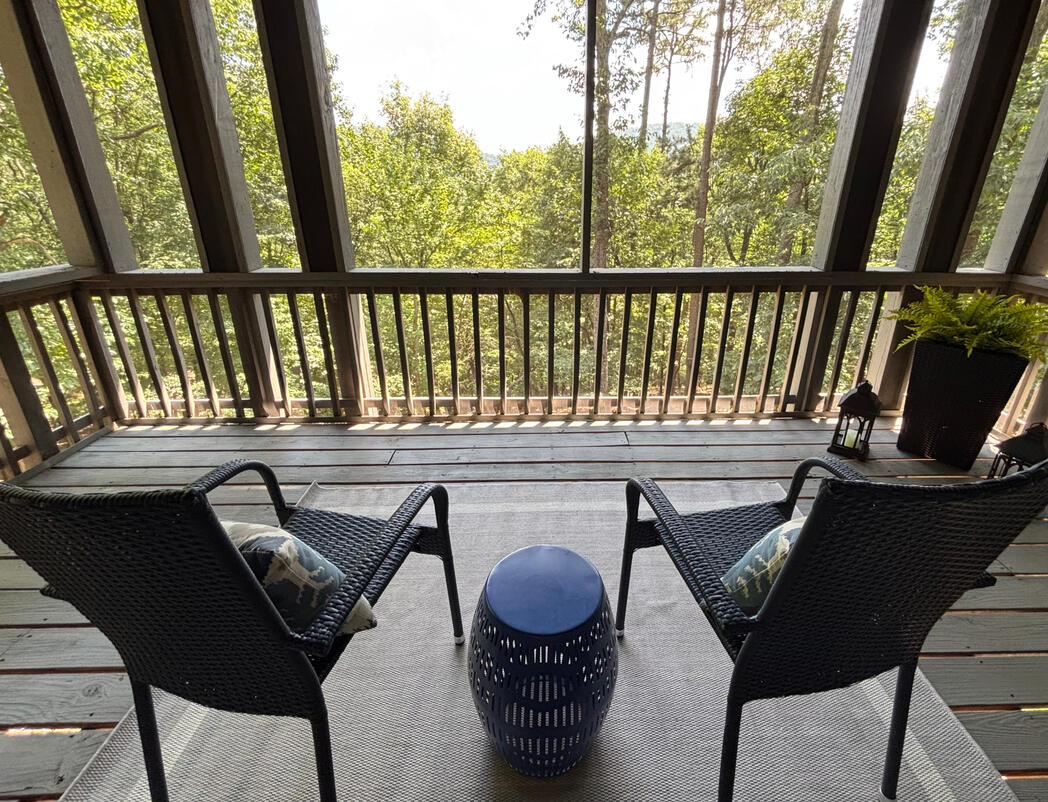 Big Canoe Staging Project / Screened Deck - Margot Weatherford EXP Realty