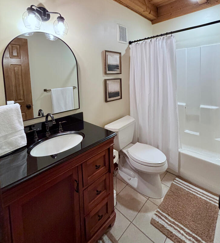 Big Canoe Staging Project / 2nd Bathroom - Margot Weatherford EXP Realty